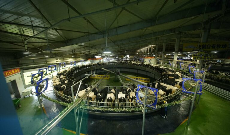What Filipino Families Should Know About the Journey of Their Milk